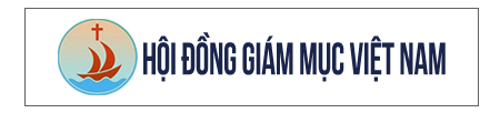 hoi dong giam muc viet nam