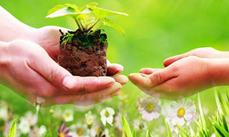 Viết cho em trong một thế giới đầy những hòn đảo